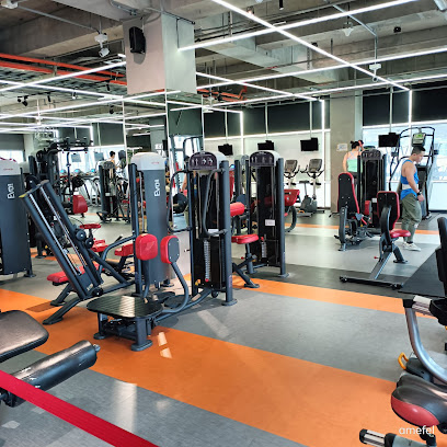 Ares Fitness 愛力士健身運動生活館-車站館